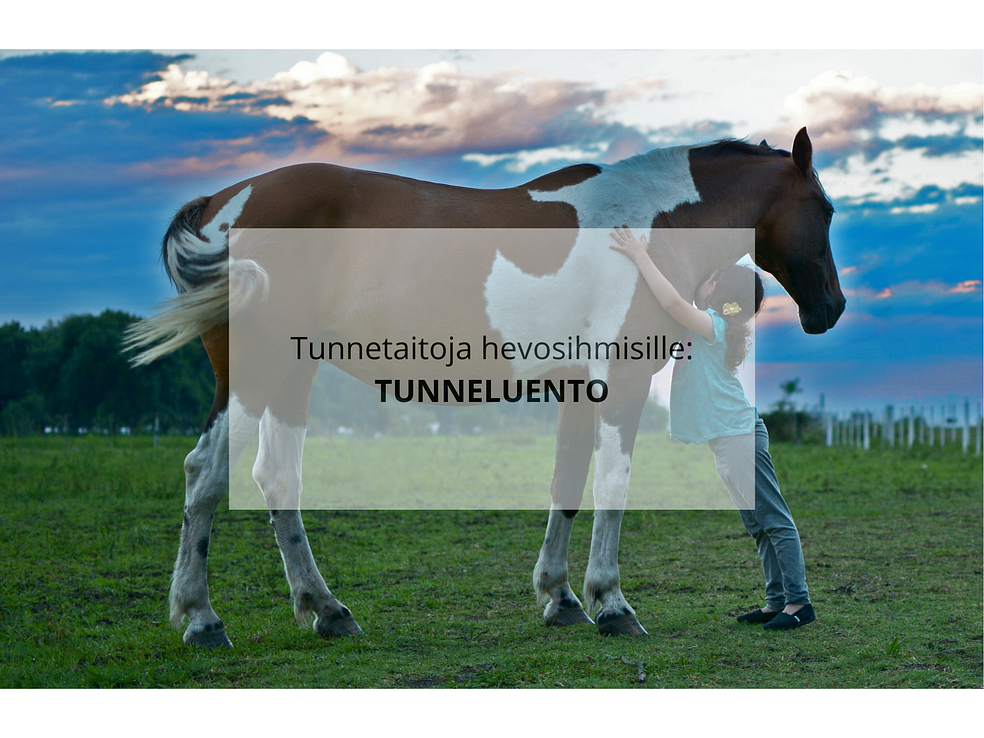 Tunnetaitoja hevosihmisille: TUNNELUENTO by Katariina Alongi
